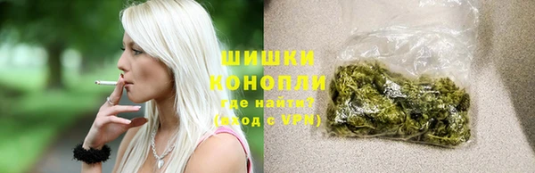 гидра Мегион