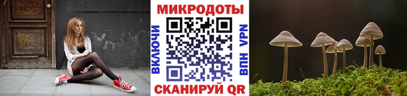 наркотики  MEGA tor  Галлюциногенные грибы мухоморы  Суоярви 